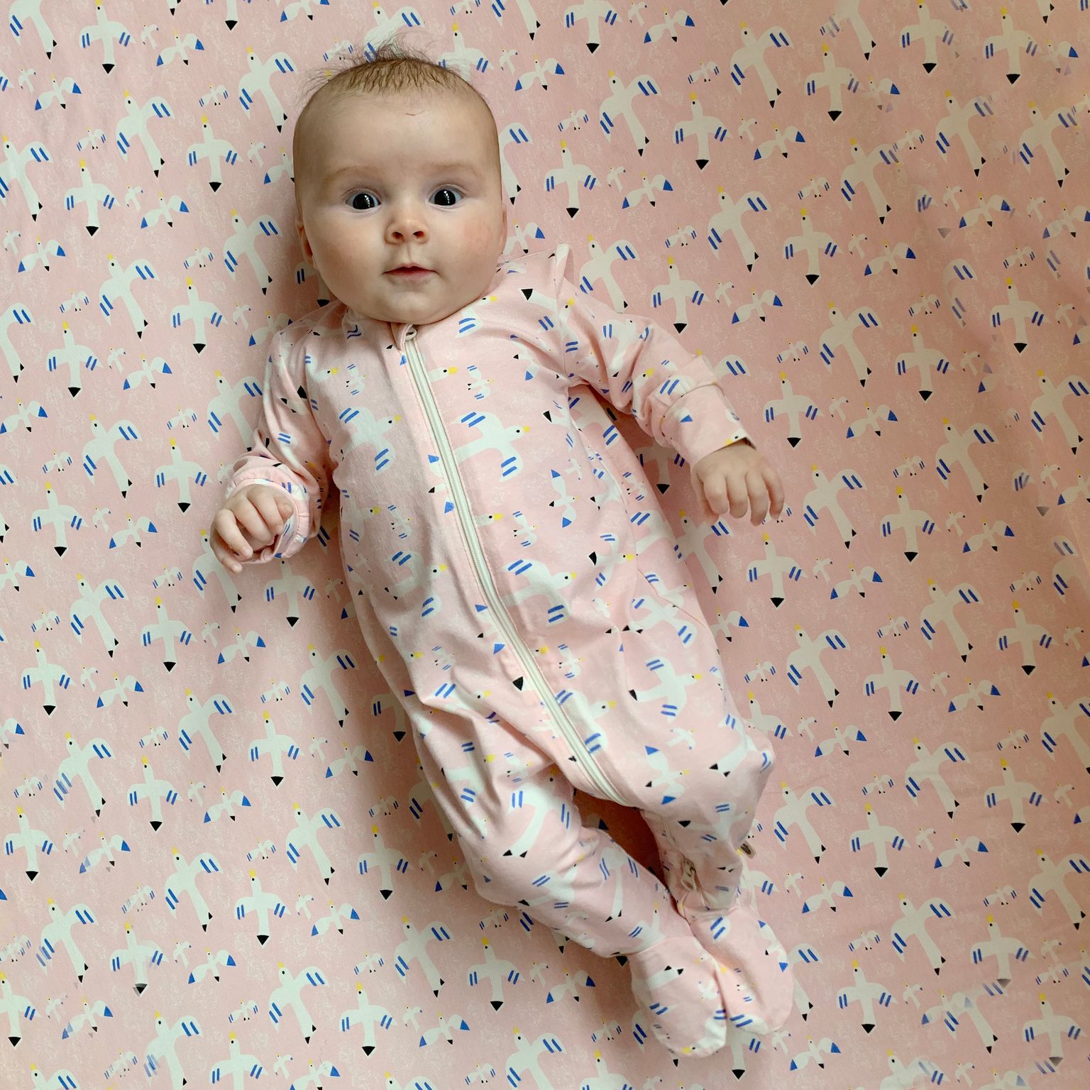                                                                                                                                                   Freebird Sleepsuit 